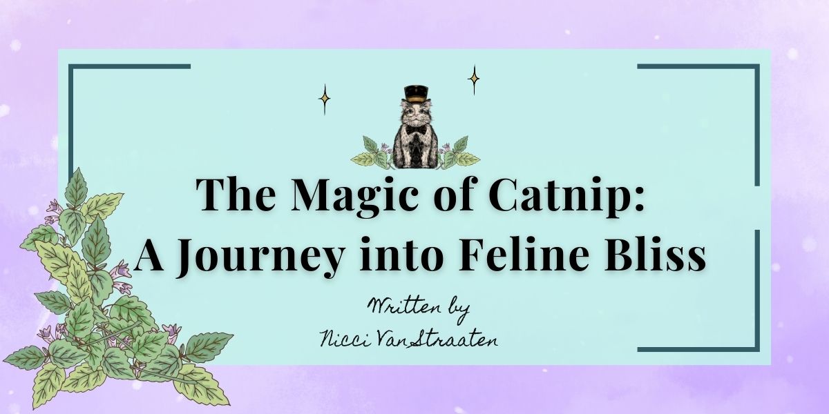 The Magic of Catnip: A Journey into Feline Bliss