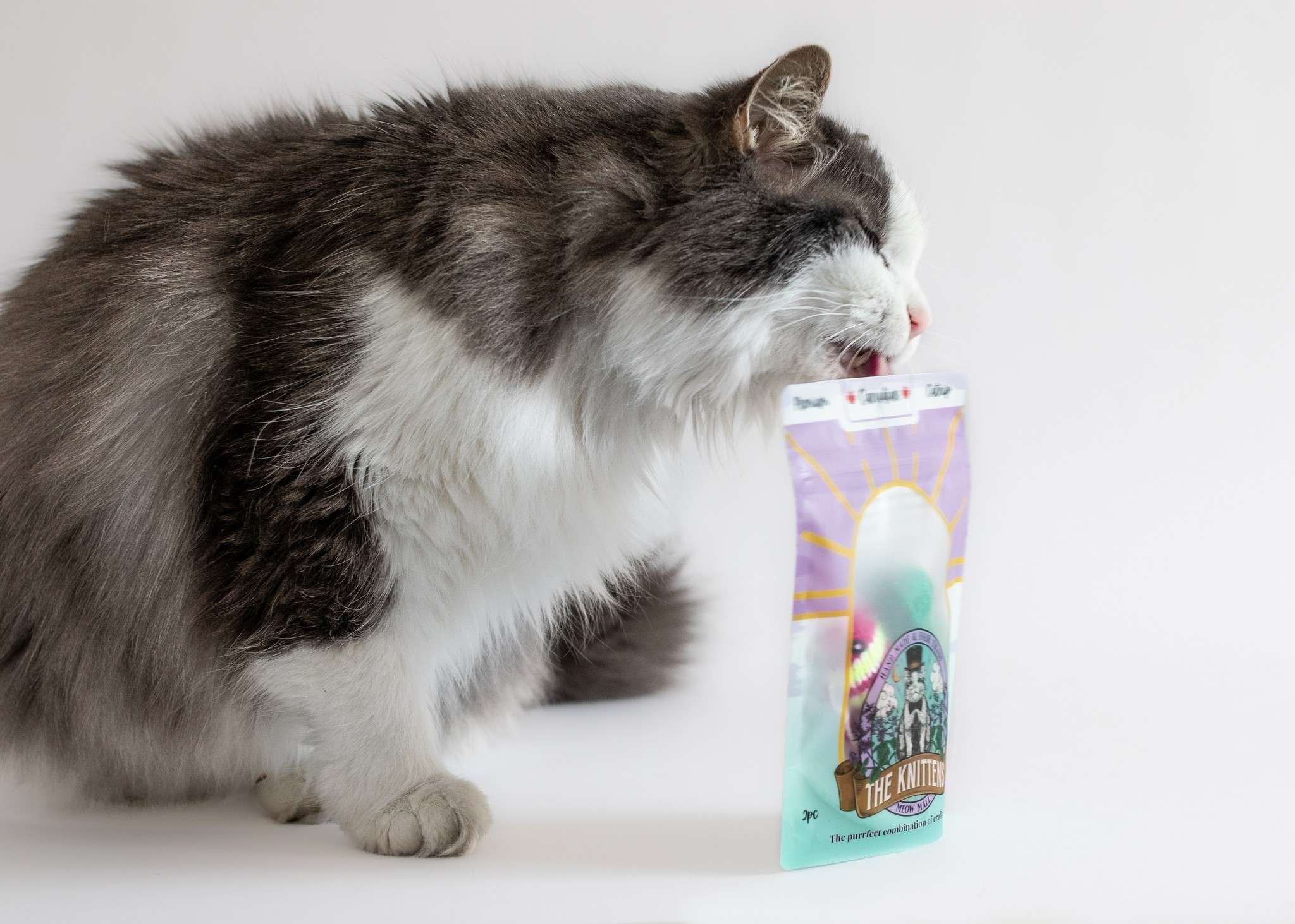 Cat licking cat toy