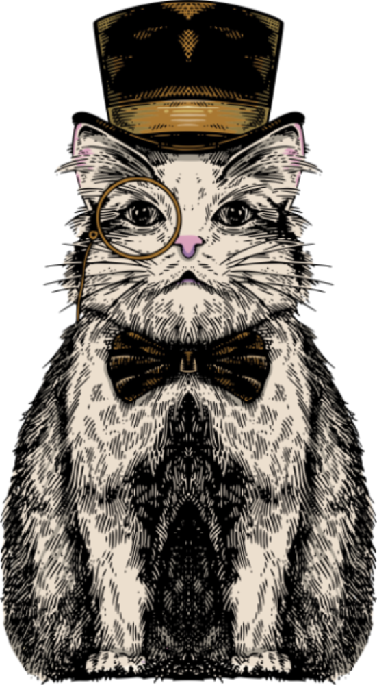knittens-cat.png