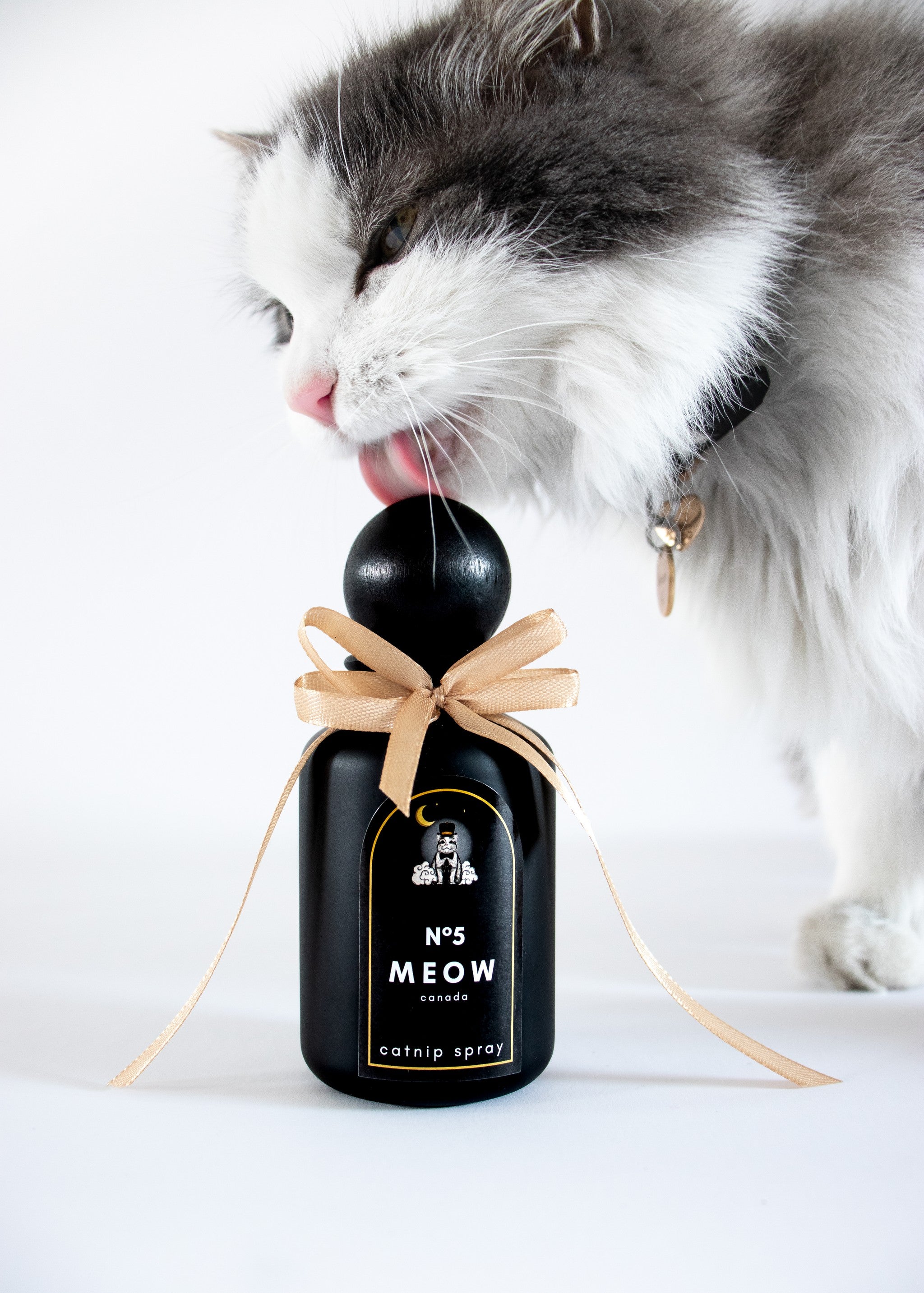 meown05-cat-licking-cat-nip-spray-perfume.jpg