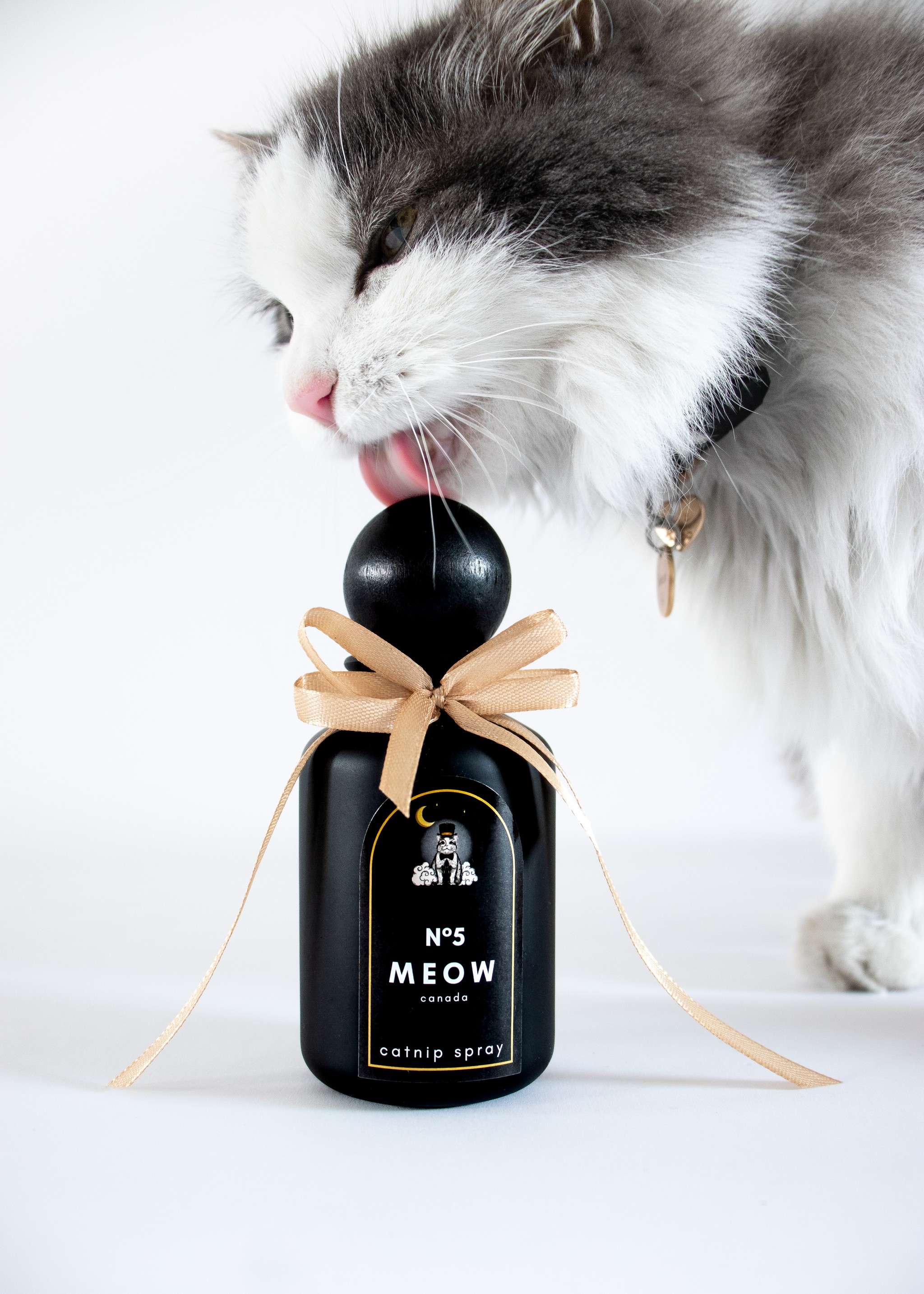 simon-cat-licking-cat-nip-spray-perfume.jpg